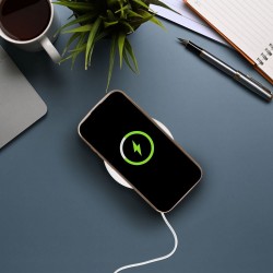 Samsung Galaxy S24 Ultra Zils