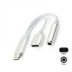 Helikaabli muundur 3,5 mm / Lightning - Lightning adapter Hõbe