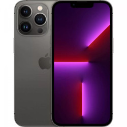 Mazlietoti telefoni (Marginal) Apple iPhone 13 Pro 256GB Pelēka
